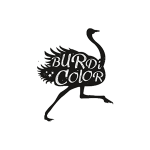 burdicolor